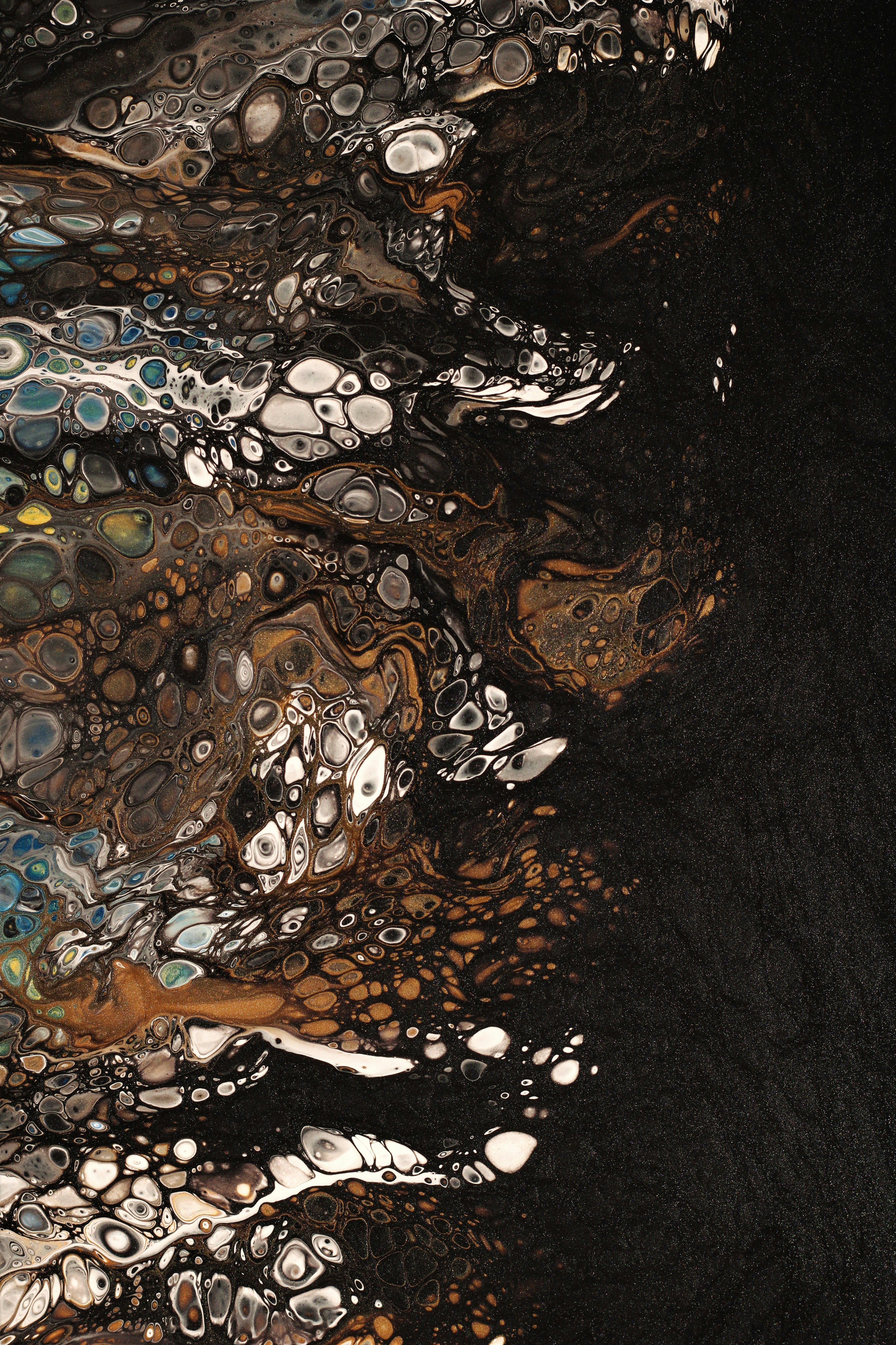 Photo by susan_wilkinson