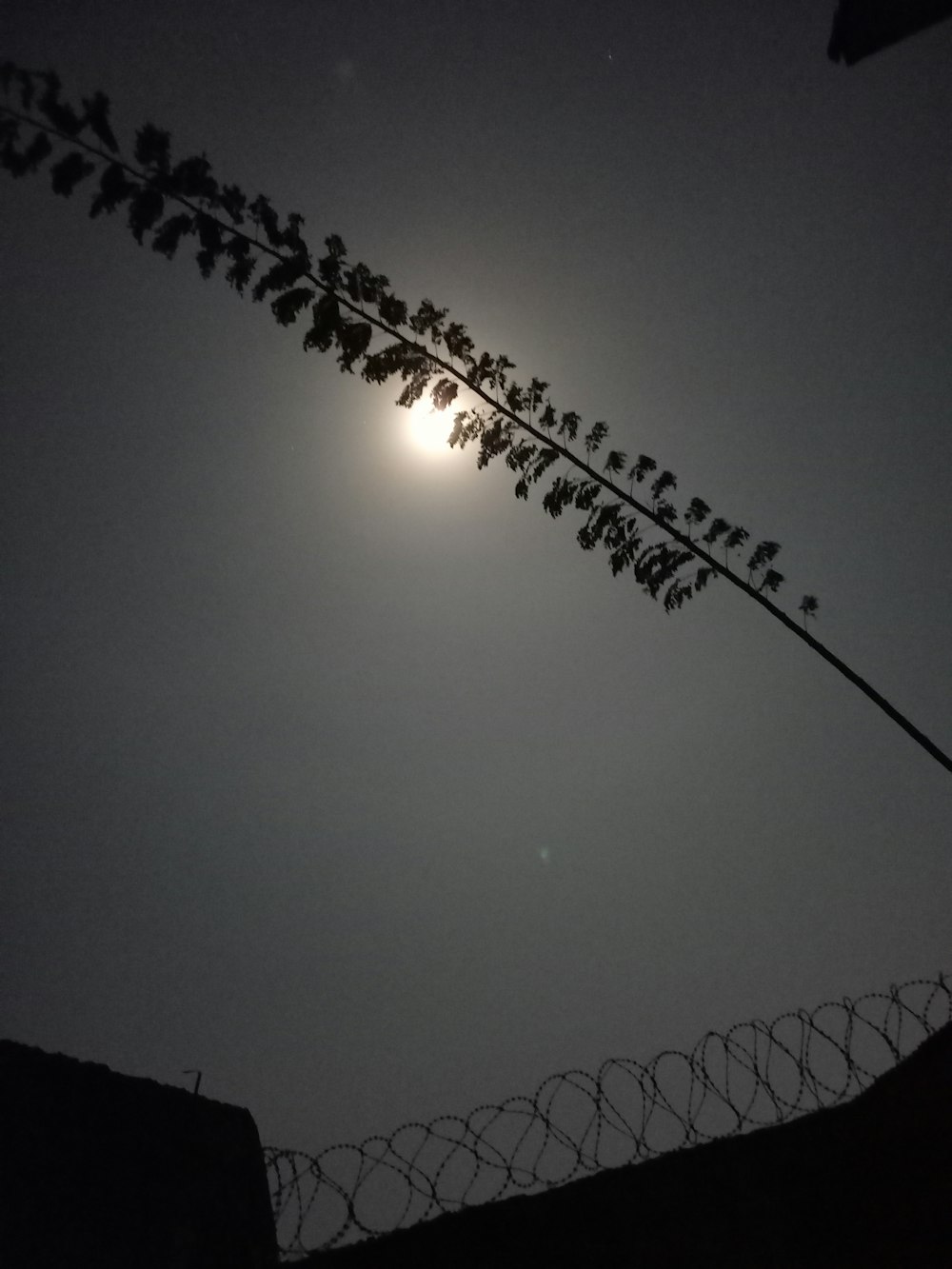 the sun is shining behind a barbed wire fence