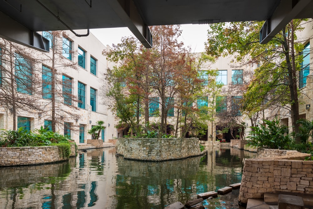 a river running through a lush green park next to tall buildings