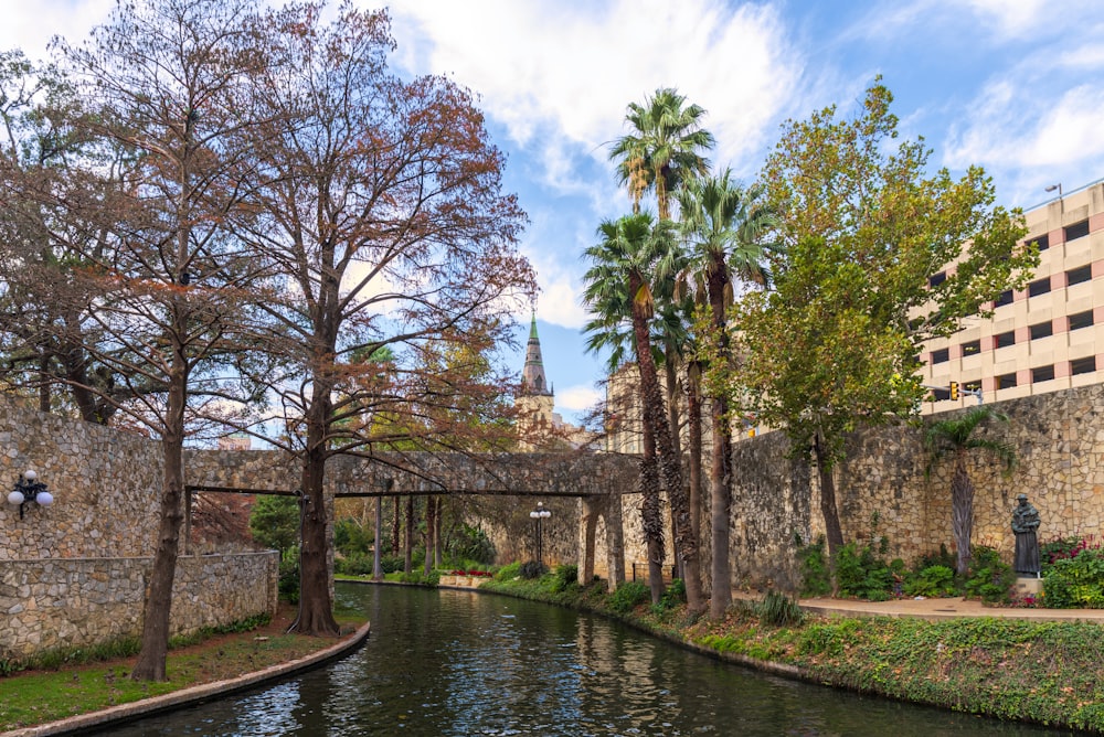 Un río que atraviesa un exuberante parque verde junto a un edificio alto