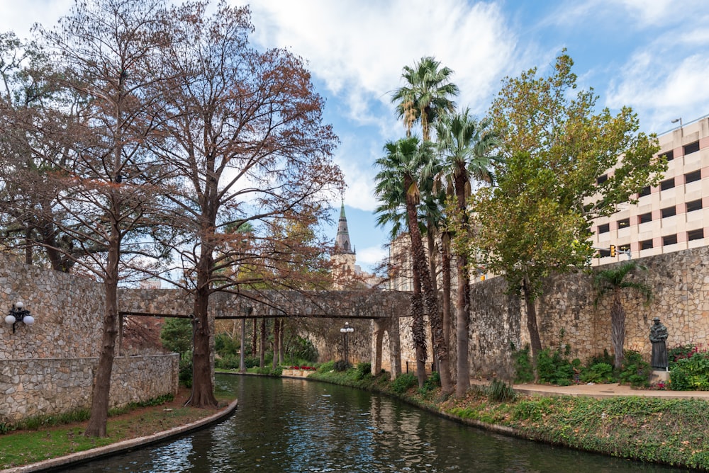 a river running through a lush green park