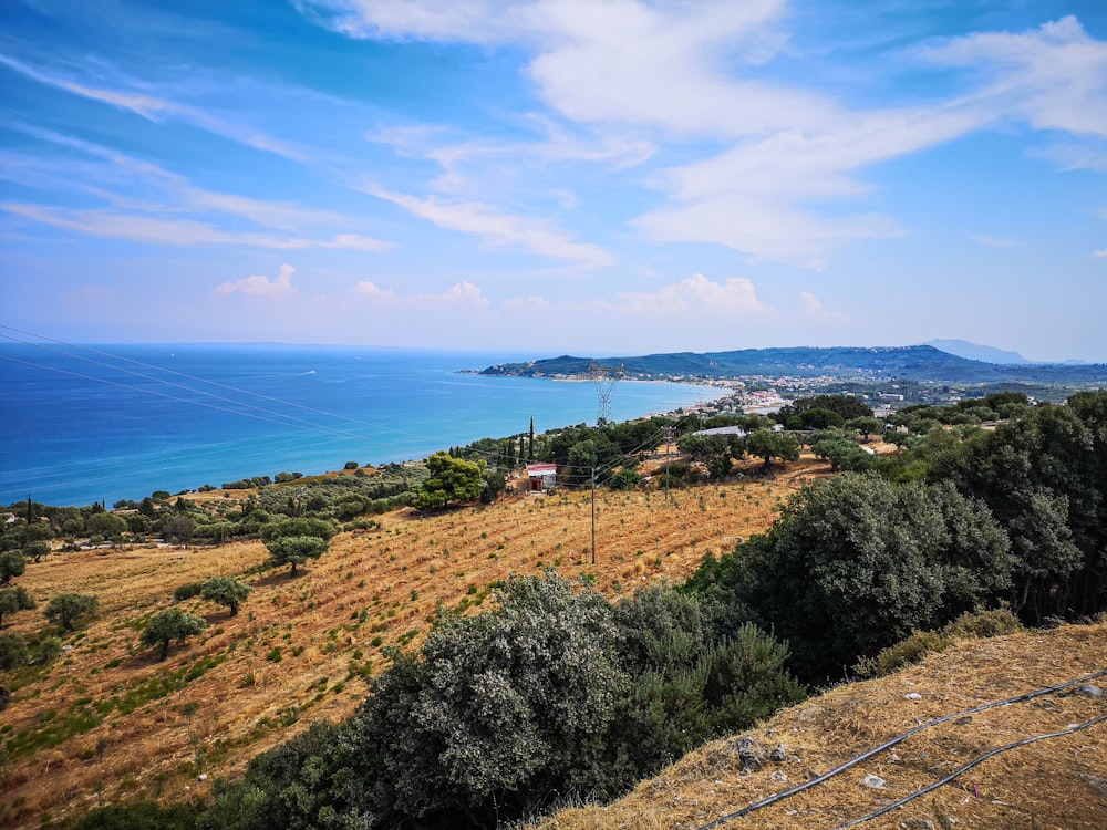 a scenic view of the ocean from a hill