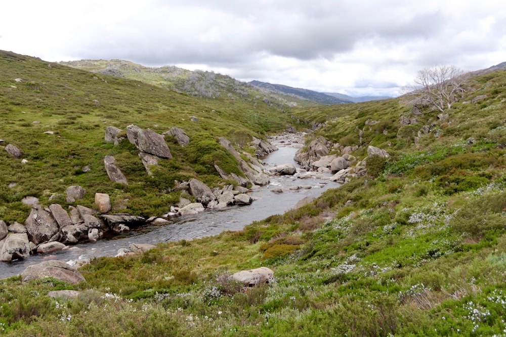 a river running through a lush green hillside