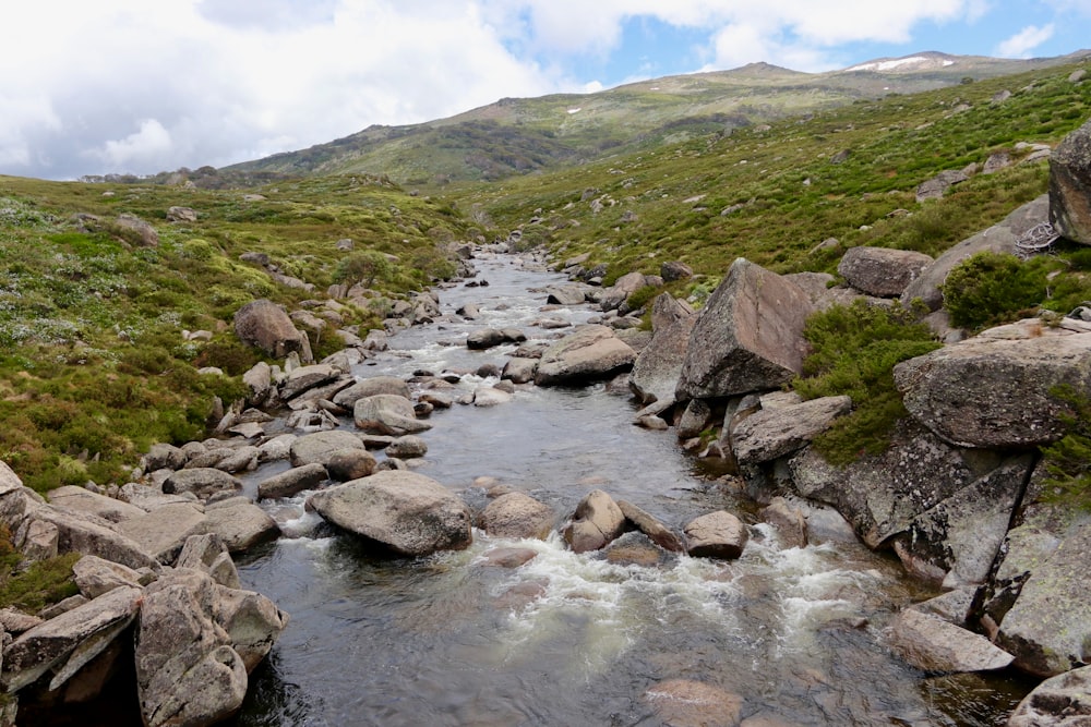 a stream running through a lush green hillside