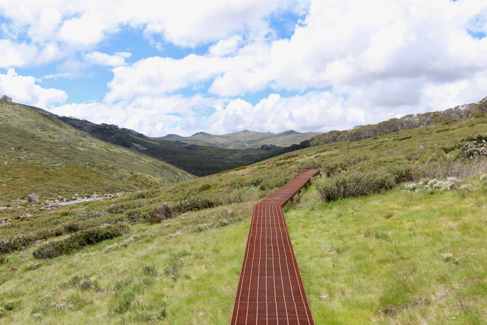 a long brick path in the middle of a grassy field