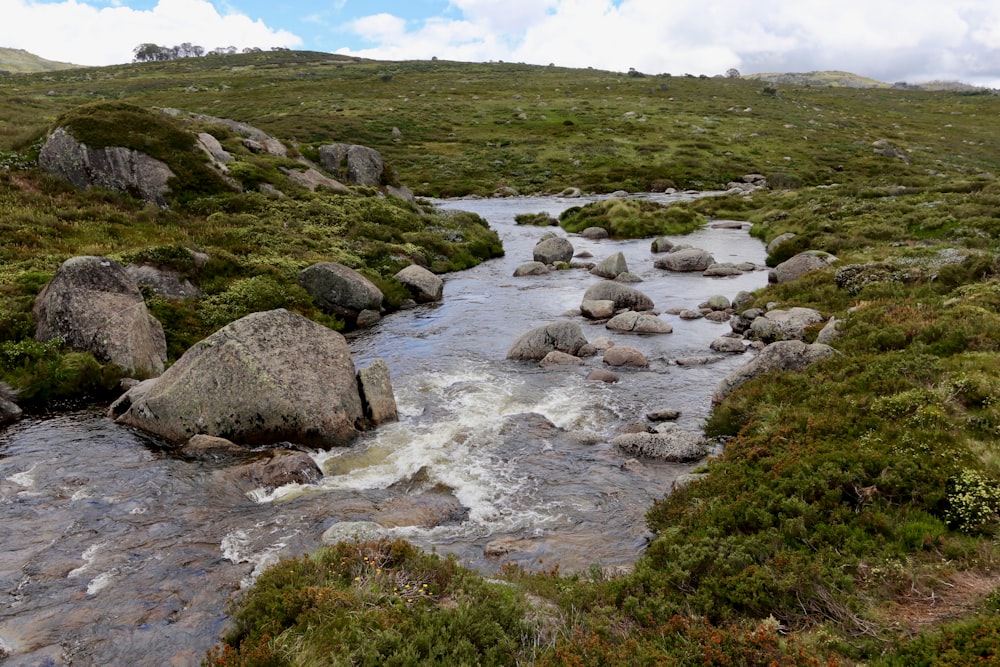 a stream running through a lush green hillside