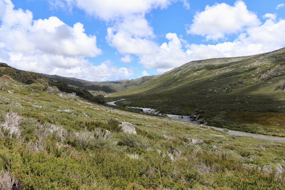 a view of a valley with a river running through it