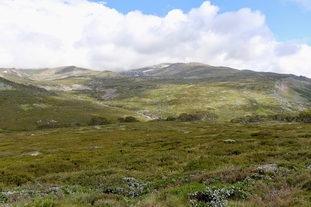 a grassy field with mountains in the background