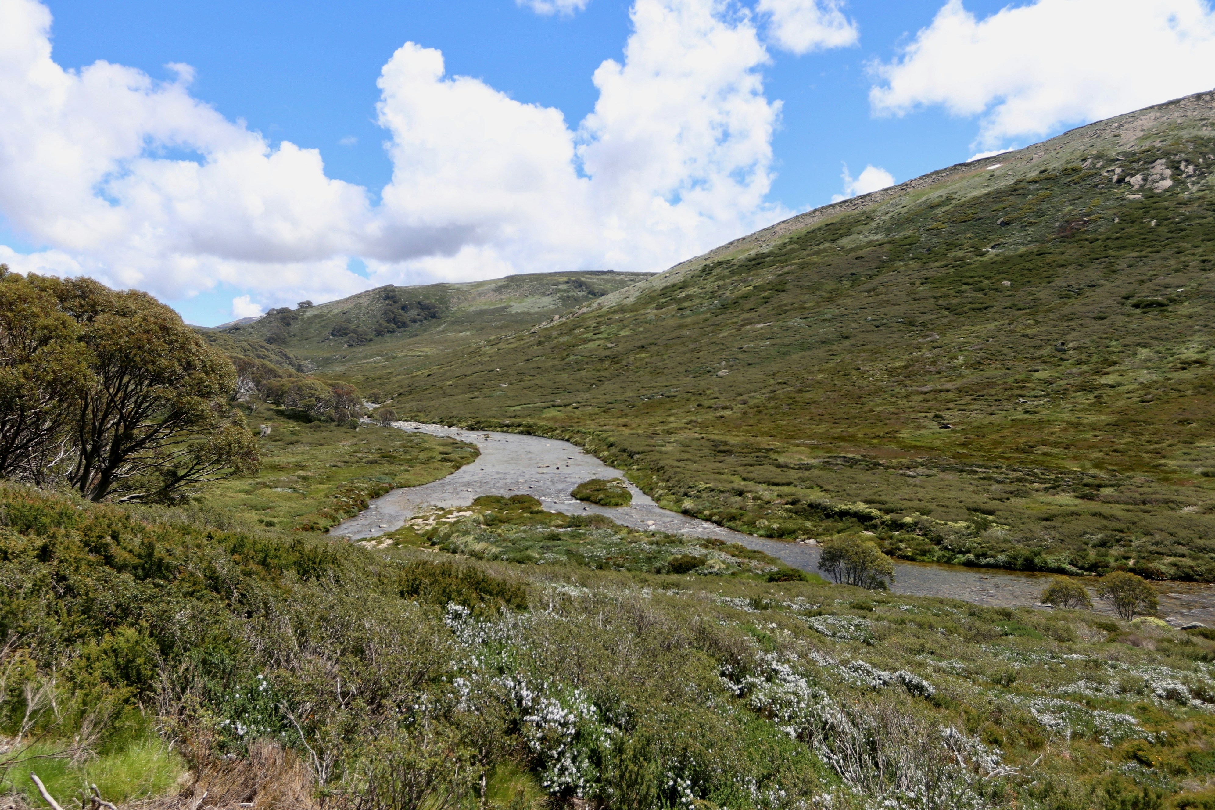 Summer Hill, New South Wales