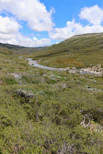 A gentle river flowing through a valley dotted with apple orchards in full bloom.