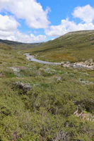 A gentle river flowing through a valley dotted with apple orchards in full bloom.