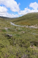 A gentle river flowing through a valley dotted with apple orchards in full bloom.