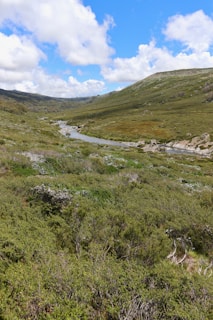 A gentle river flowing through a valley dotted with apple orchards in full bloom.