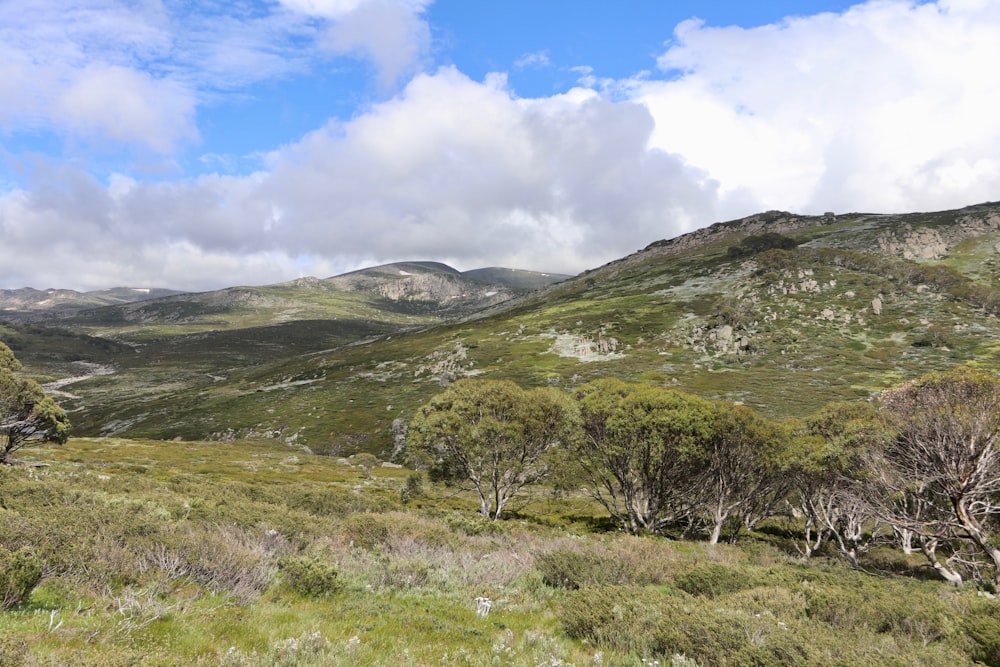 a view of a valley with mountains in the background