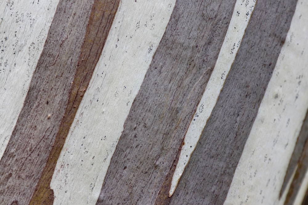 a close up of a piece of wood