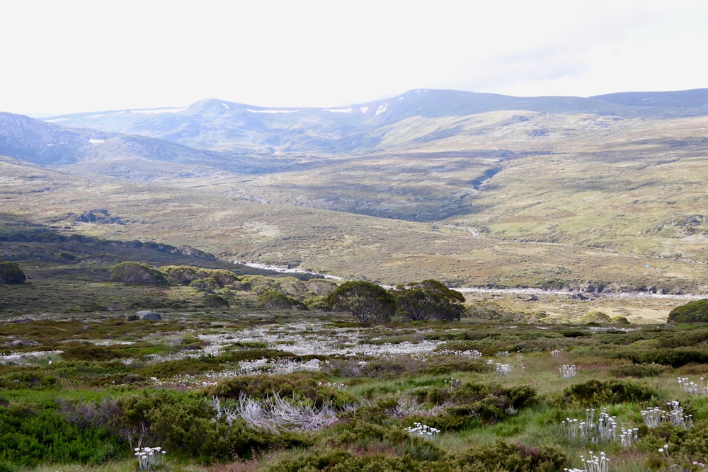 a view of a valley with mountains in the background