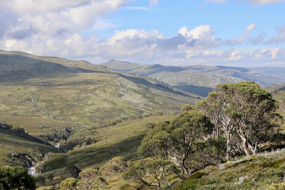 a view of a valley with mountains in the background