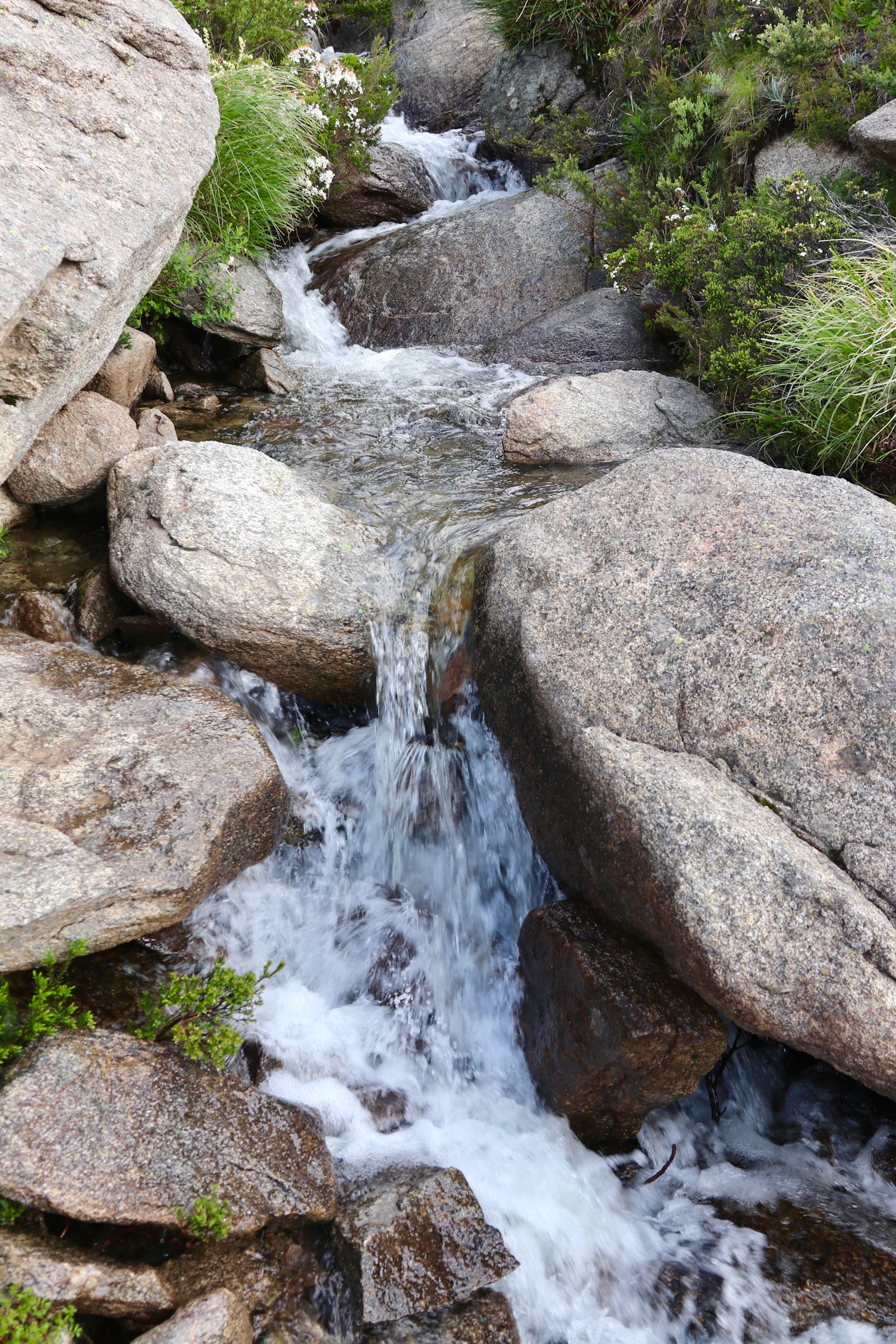 Corriente de agua fluyendo entre grandes rocas en la montaña