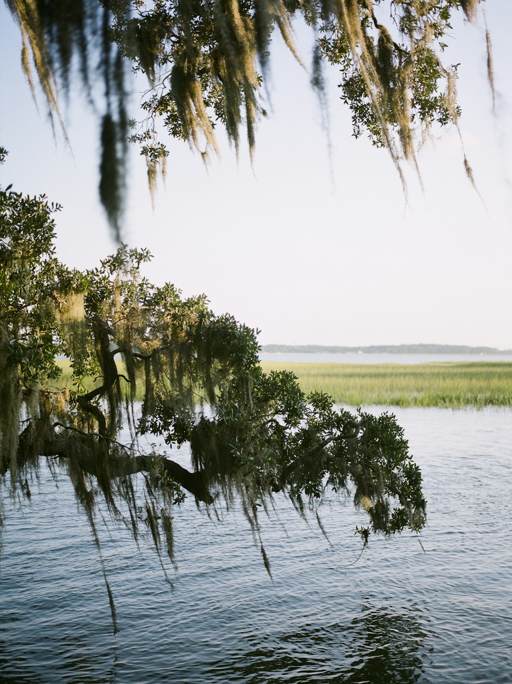 a large body of water surrounded by trees