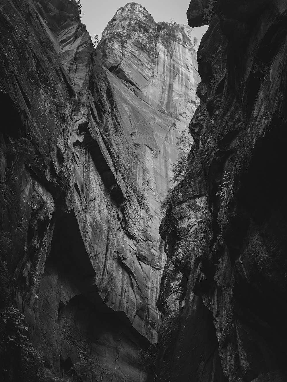 a black and white photo of a canyon