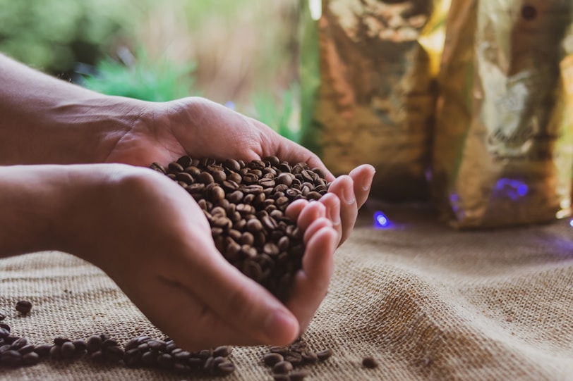 The Beginner’s Guide to Brazilian Coffee Culture a person holding a handful of coffee beans