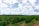 A vast agricultural field with rows of lush green plants extends into the horizon under a partly cloudy sky.