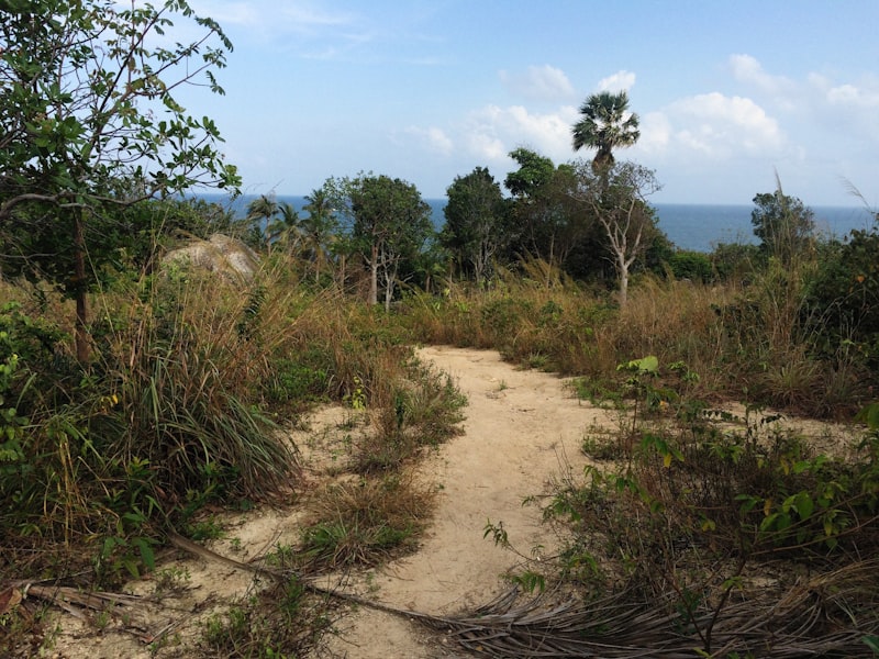 Coastal privacy path