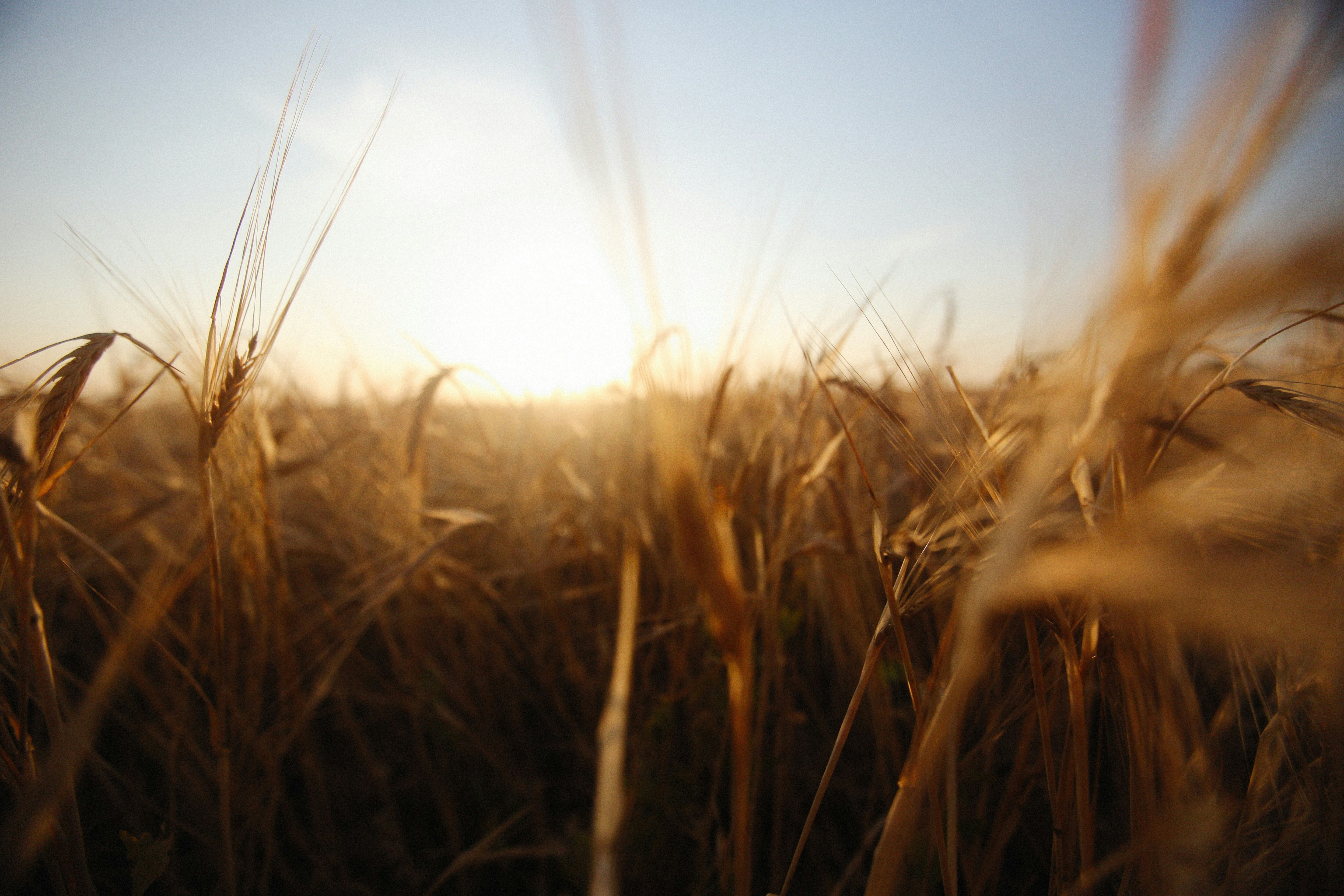 Photo by alexeydemidov