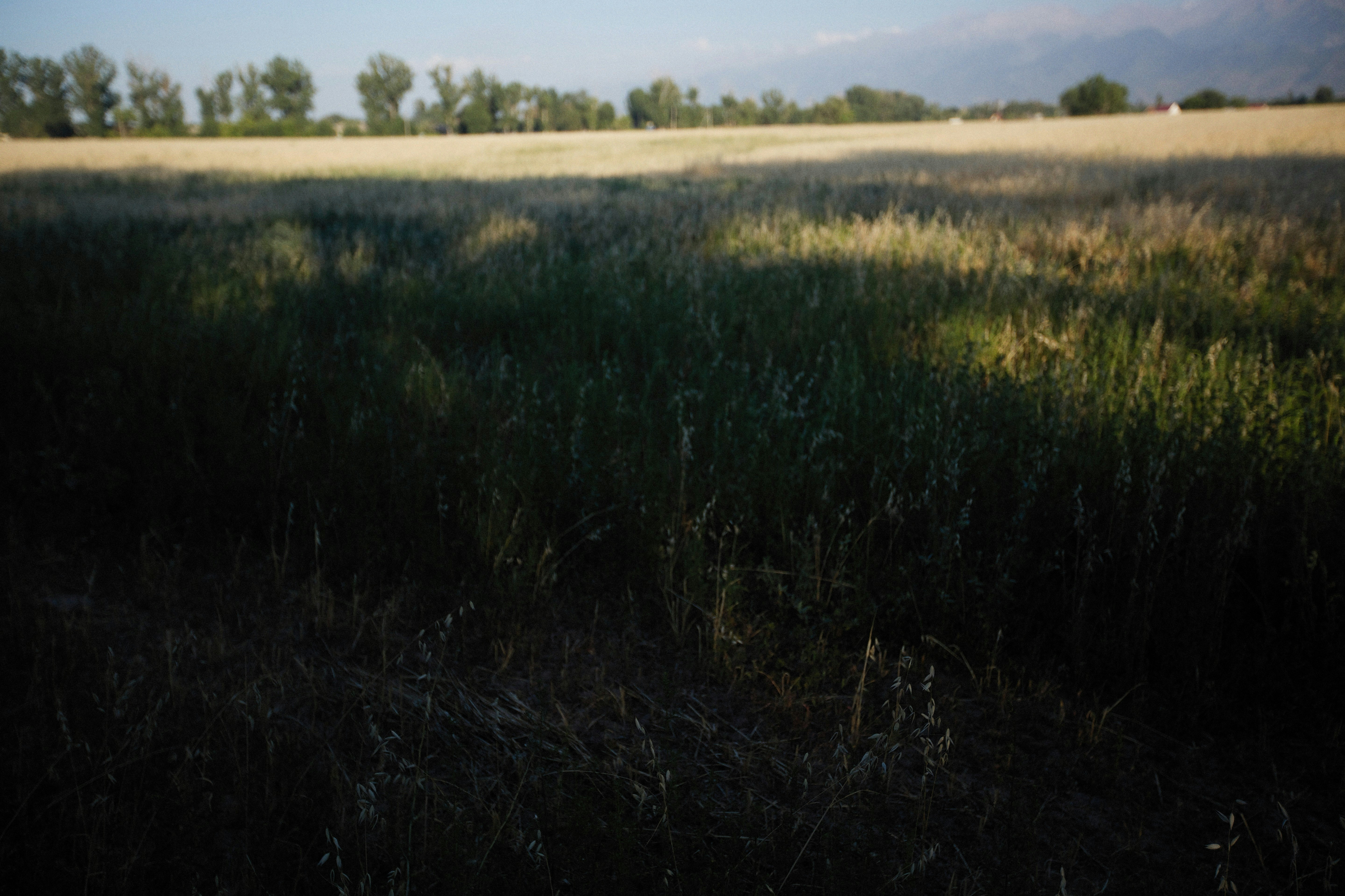 Photo by alexeydemidov