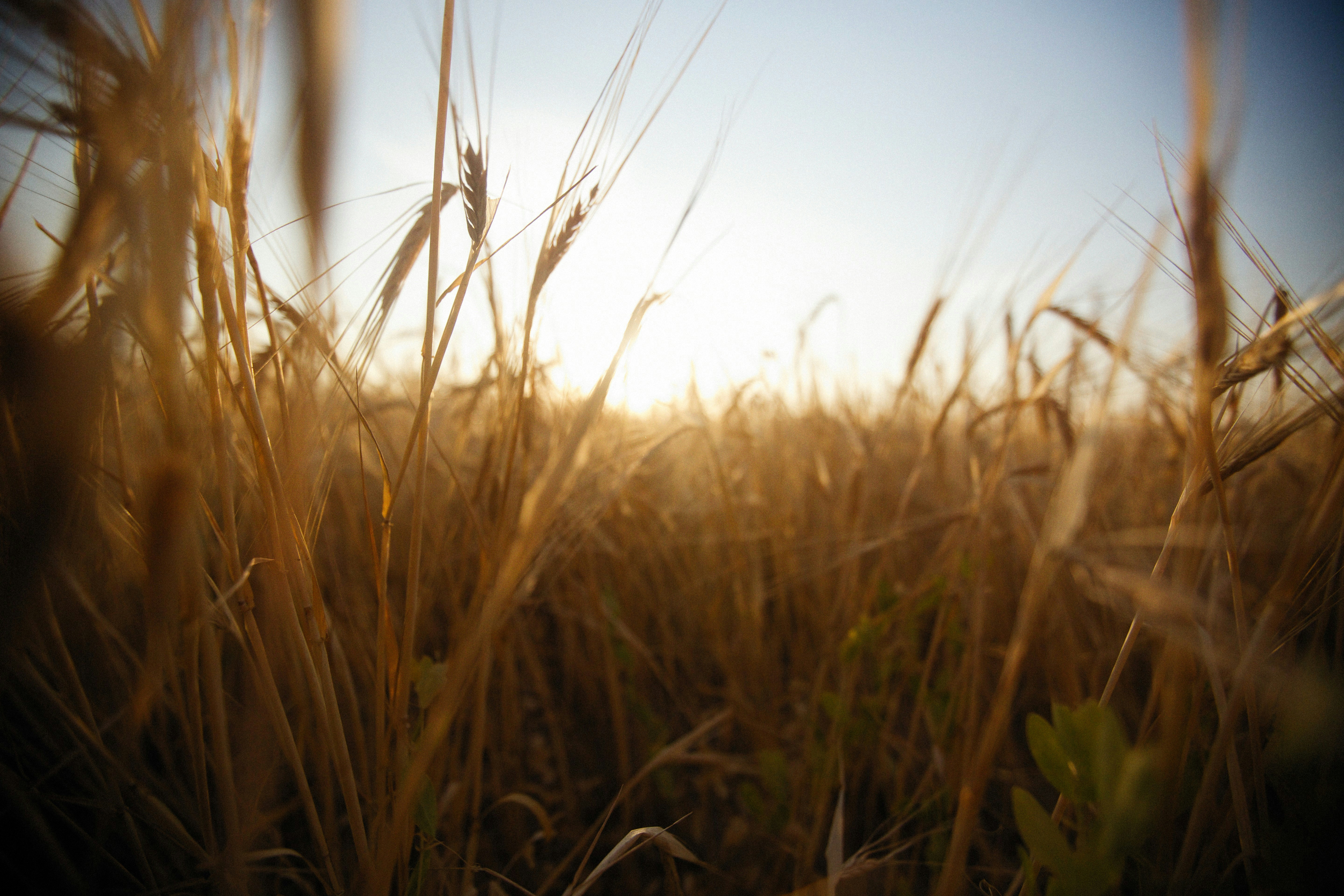 Photo by alexeydemidov