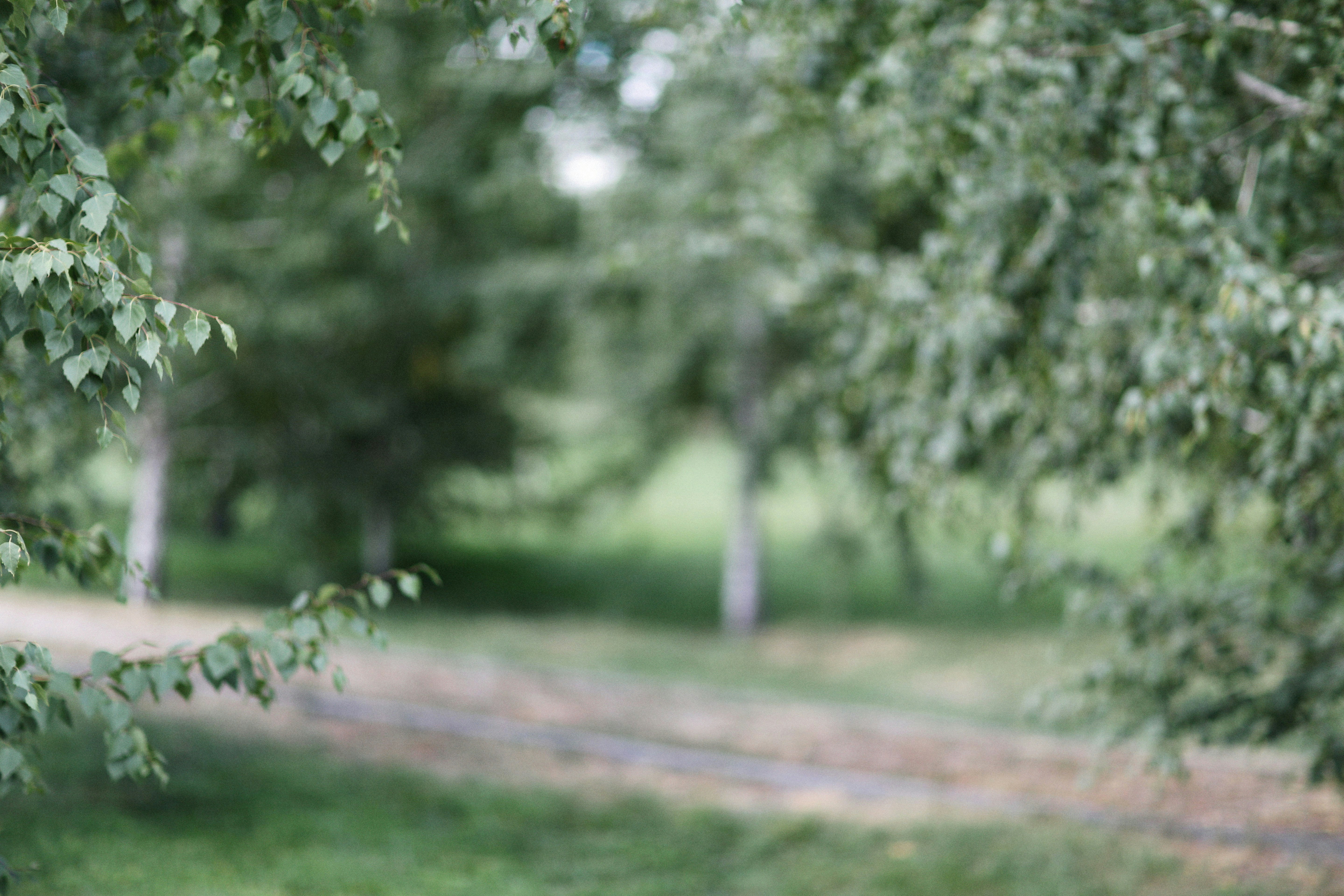 Photo by alexeydemidov