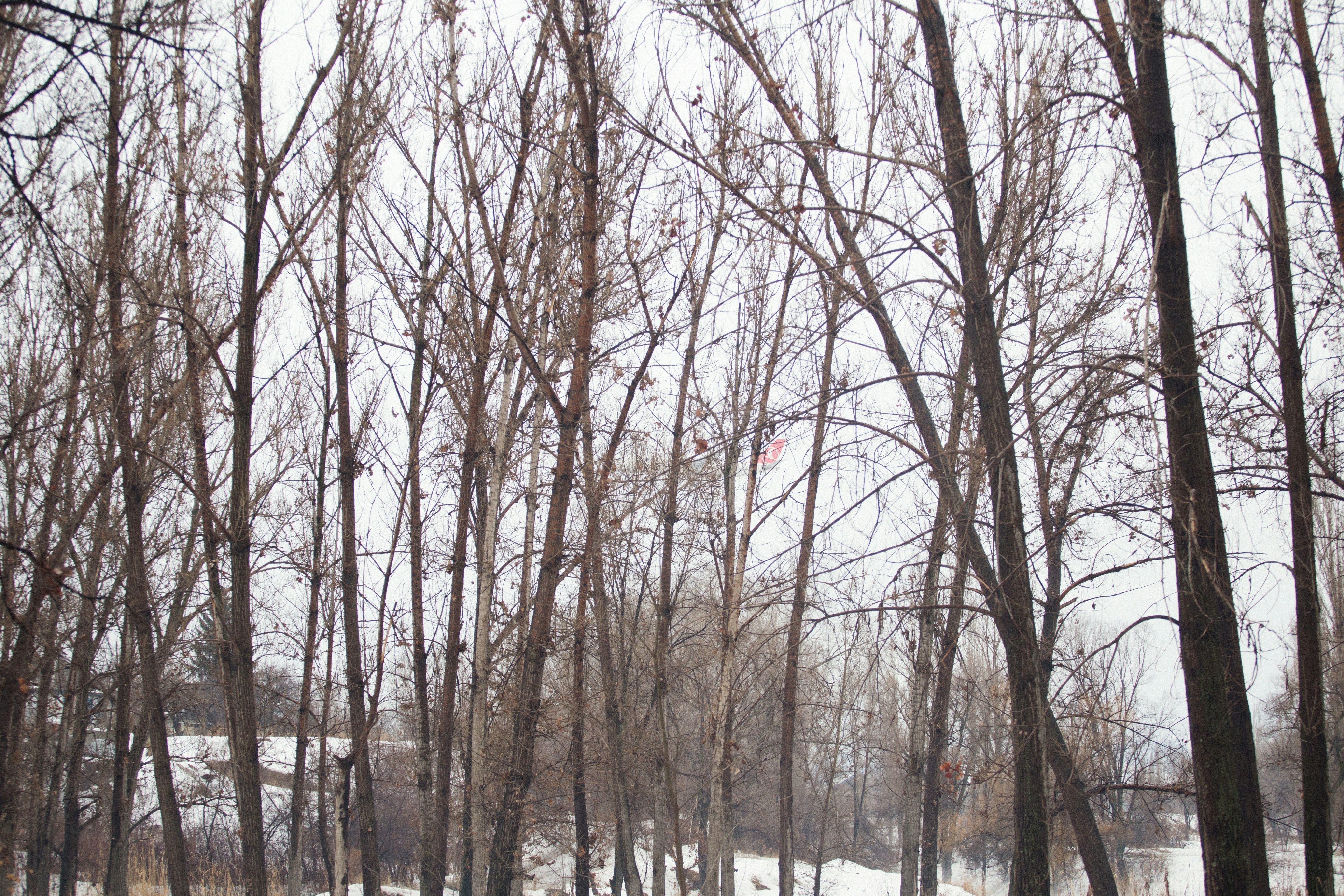 Photo by alexeydemidov