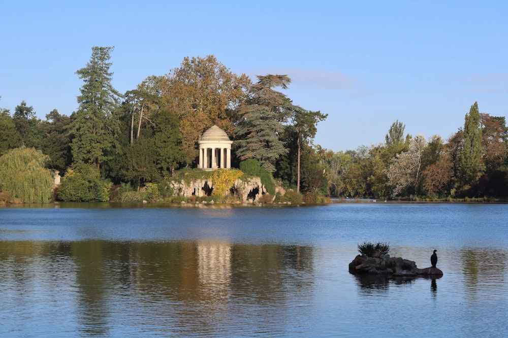 un grande specchio d'acqua circondato da alberi