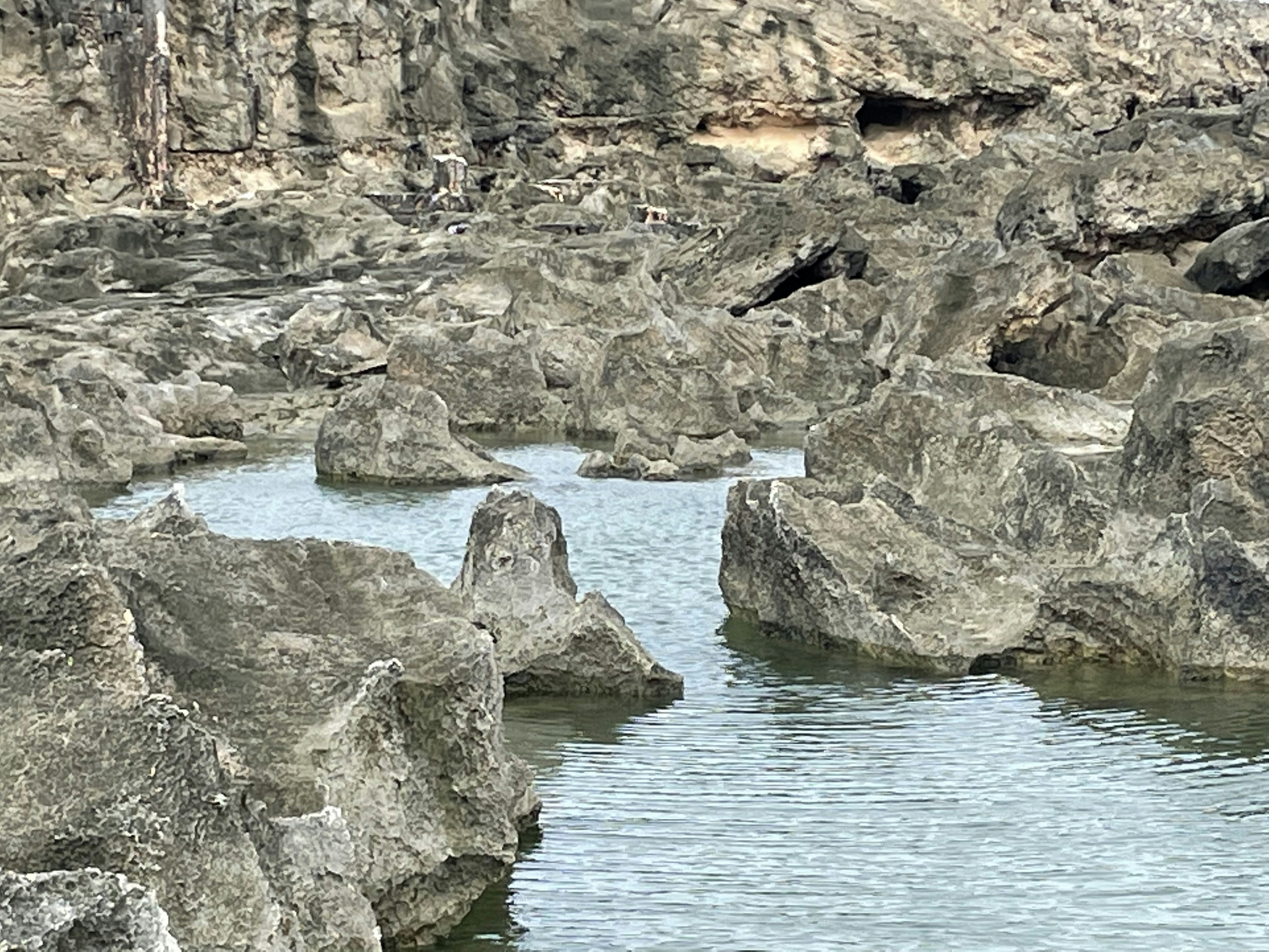 Bouldercentrum Delfts Bleau