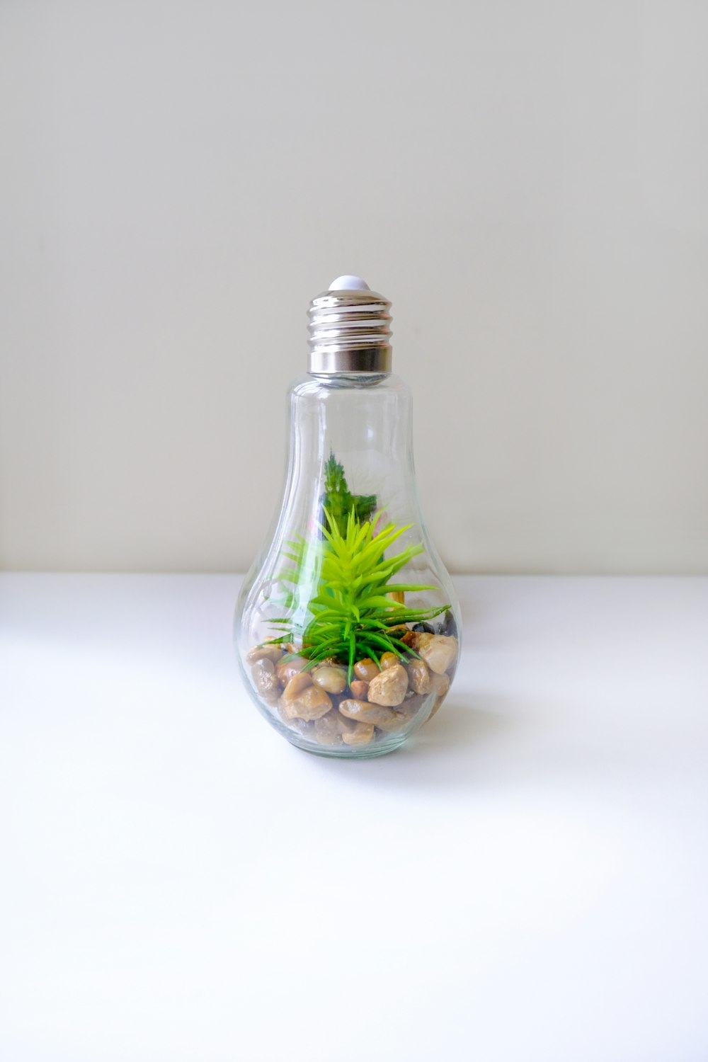 a light bulb with a plant inside of it