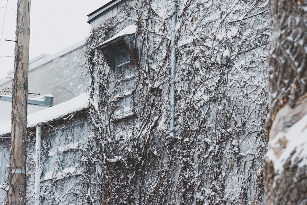 a building covered in snow next to a telephone pole