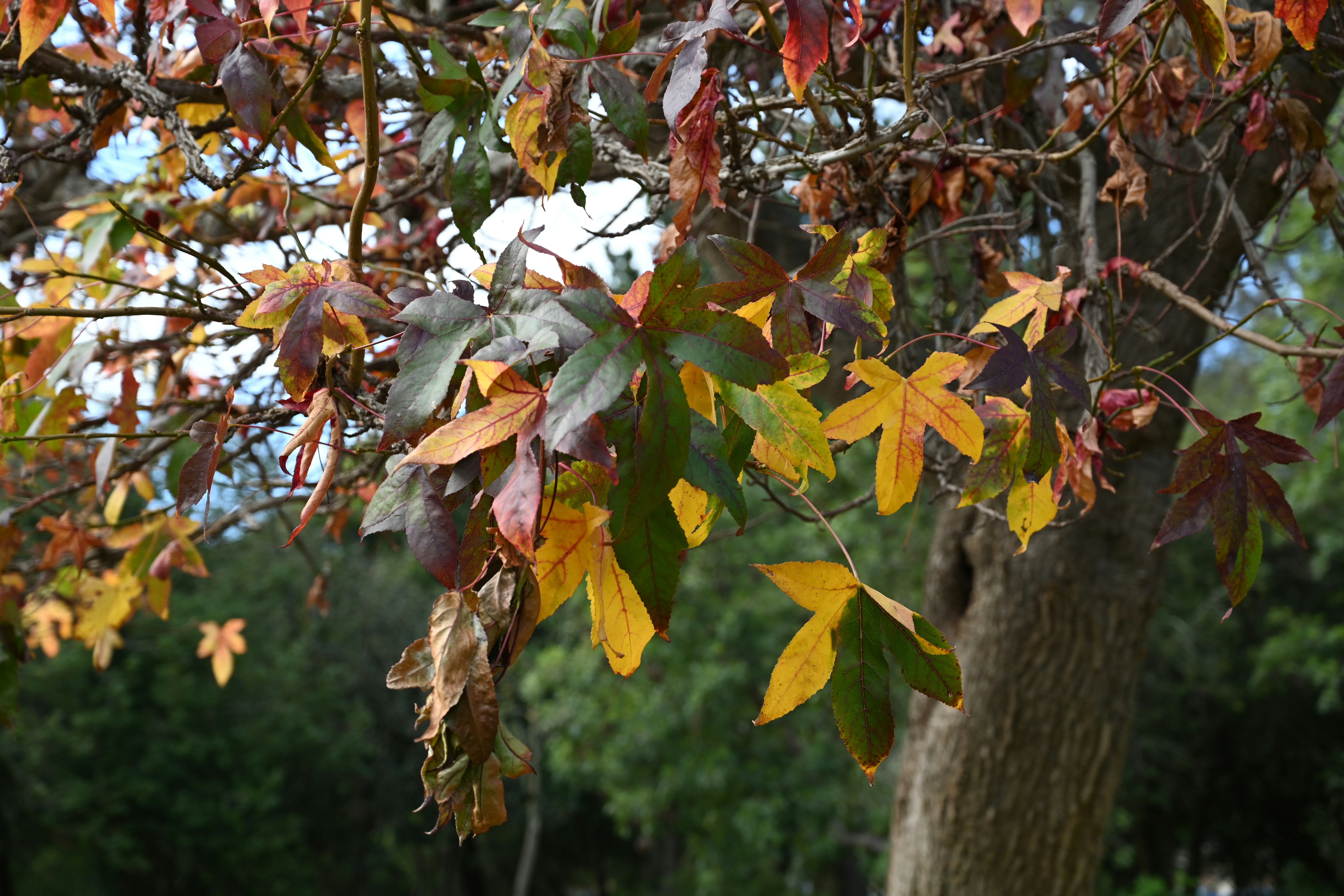 Photo by theunknownaldiaz