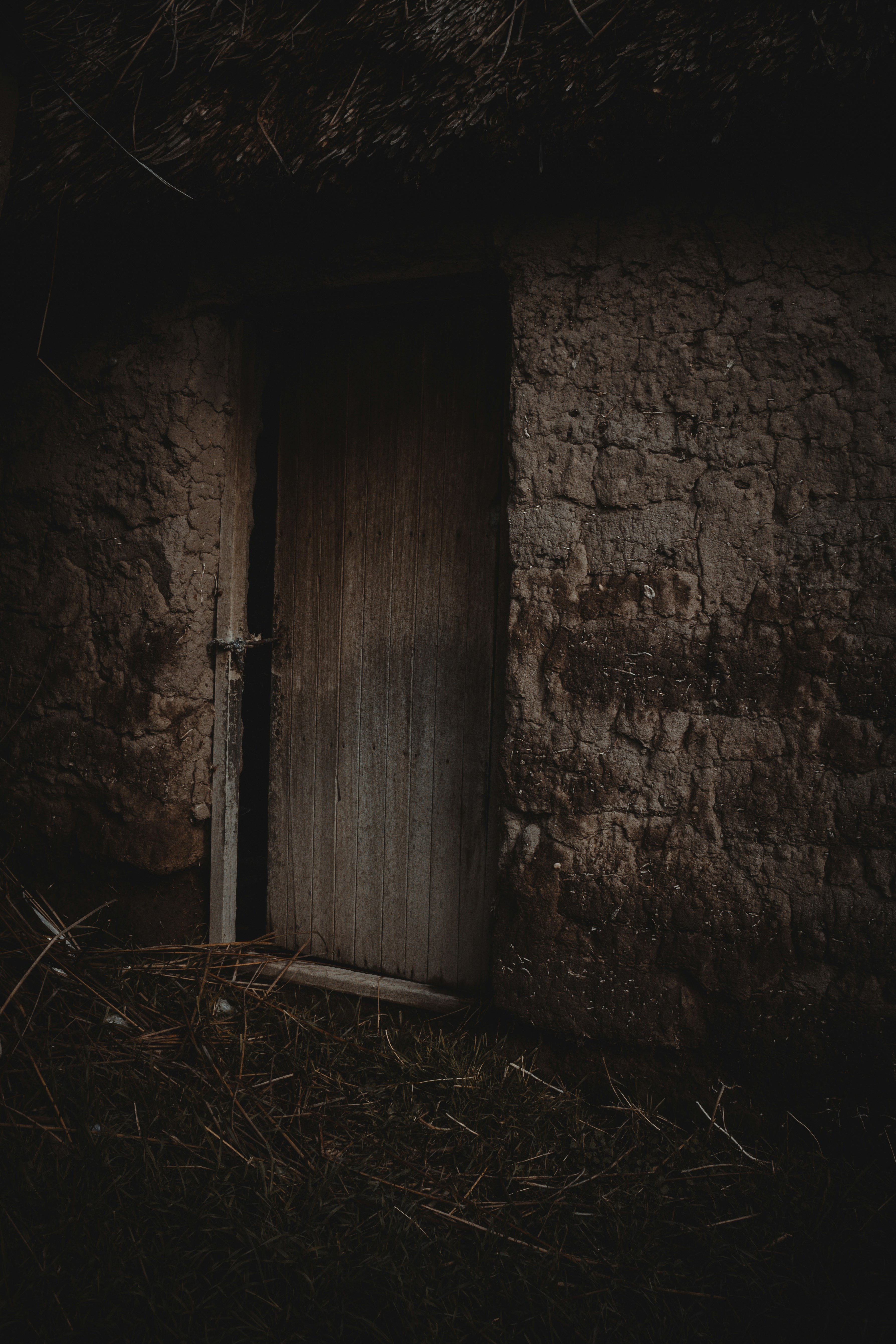 Photo by giulianacat