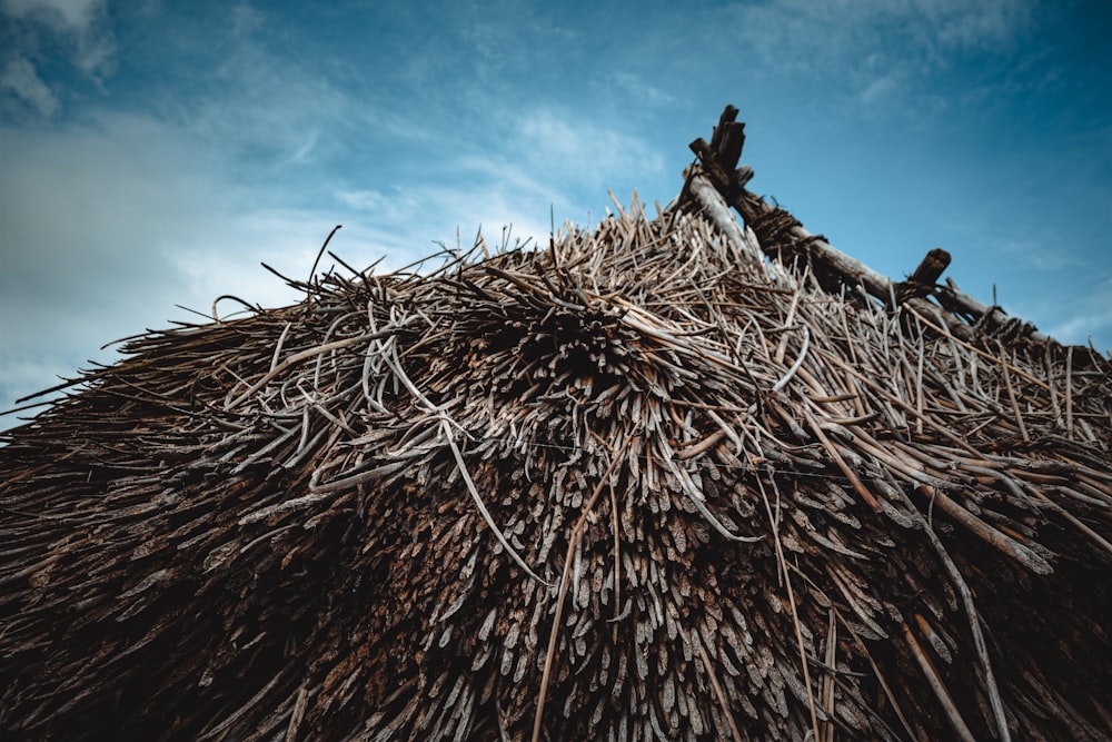 a close up of a thatched roof with a blue sky in the background