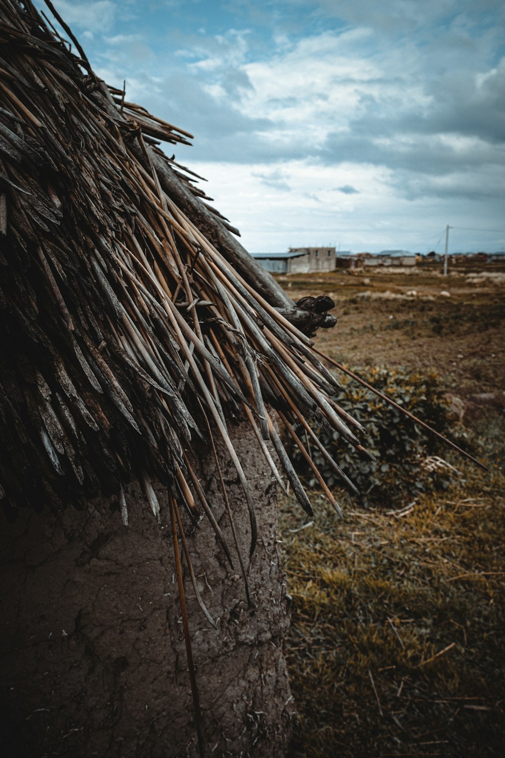 a thatched roof with sticks sticking out of it