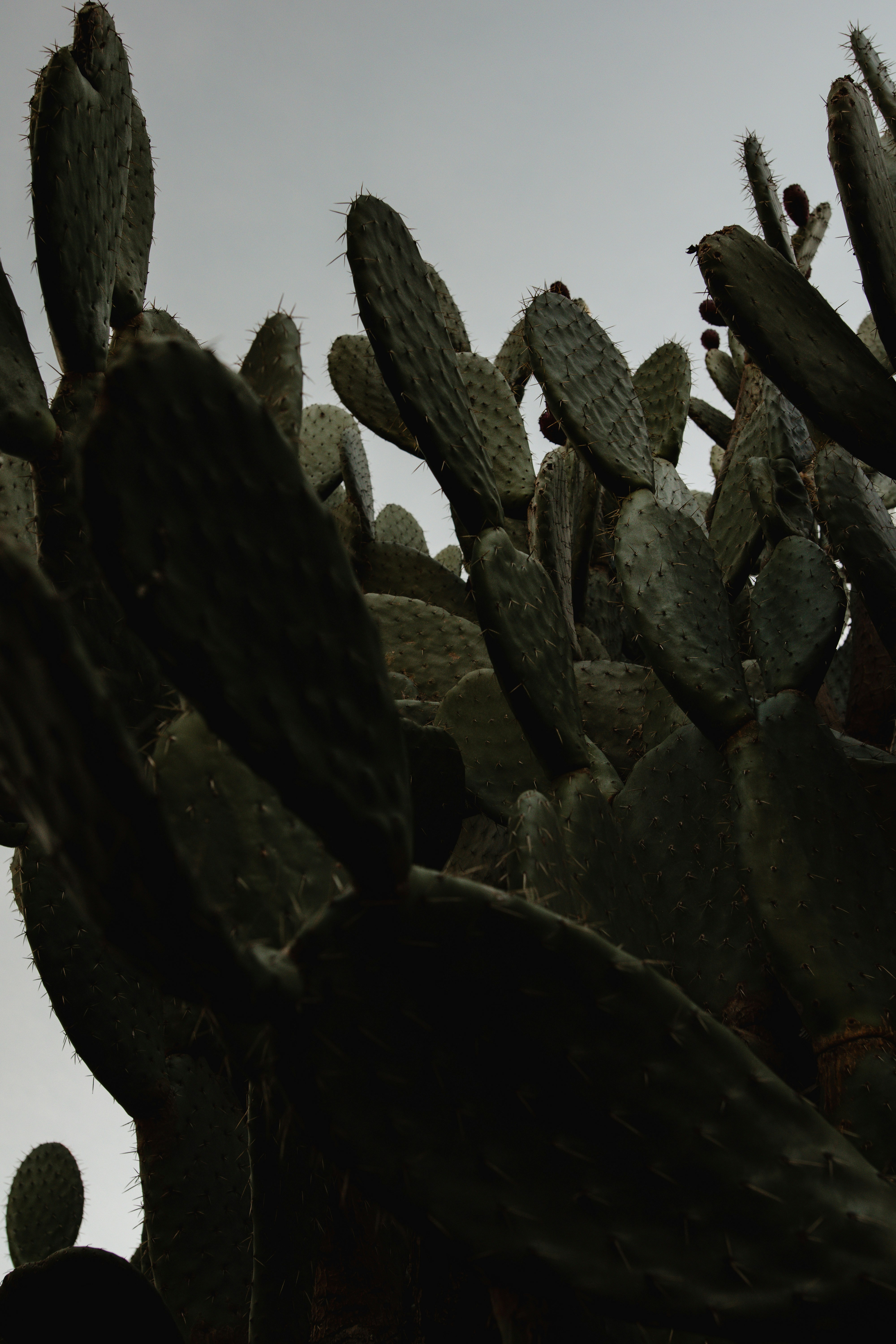 Photo by daniellestein