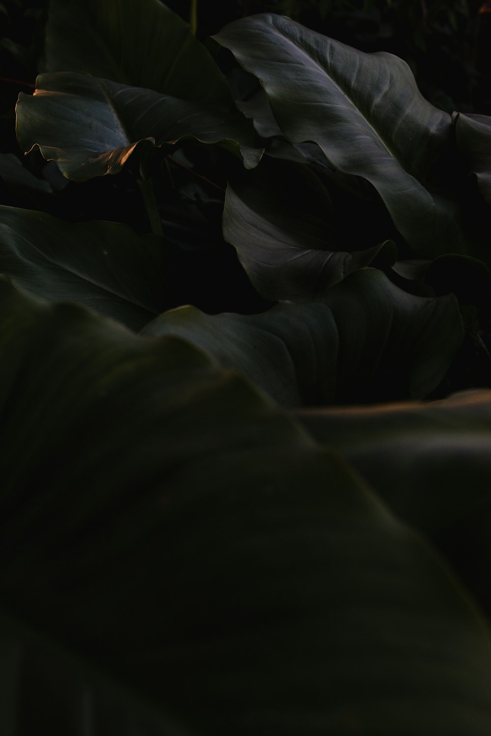 a person sleeping in a dark room