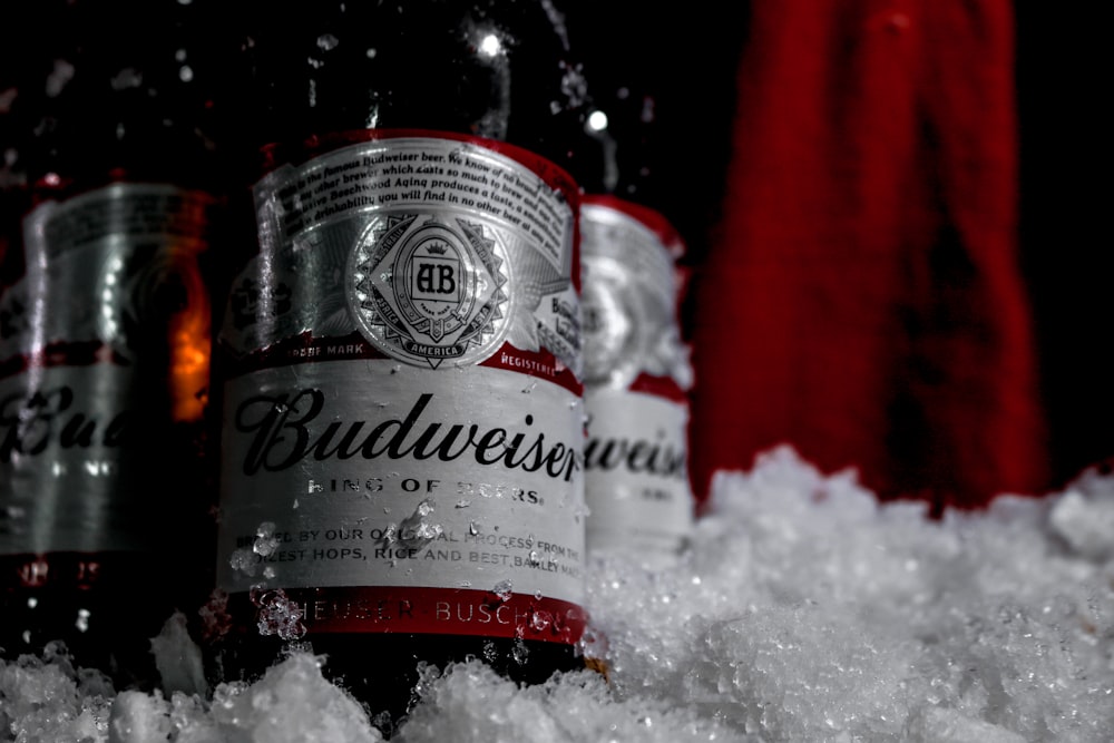 two bottles of budweiser sit in the snow