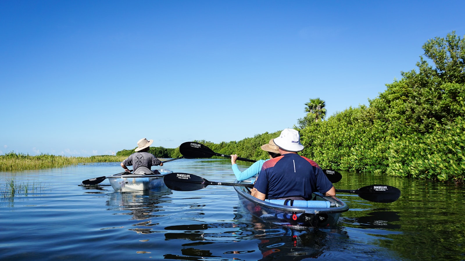 Conserving Mangrove Ecosystems: Collaborative Efforts and Initiatives to Safeguard these Vulnerable Habitats