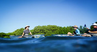 A group kayaking through turquoise Caribbean waters surrounded by lush greenery.