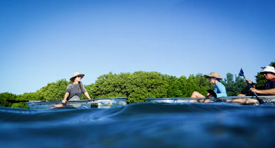 A group kayaking through turquoise Caribbean waters surrounded by lush greenery.