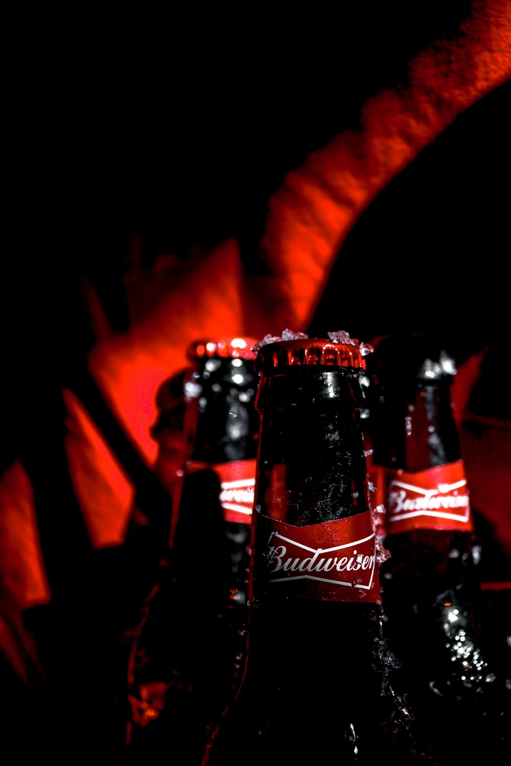 a close up of a group of beer bottles