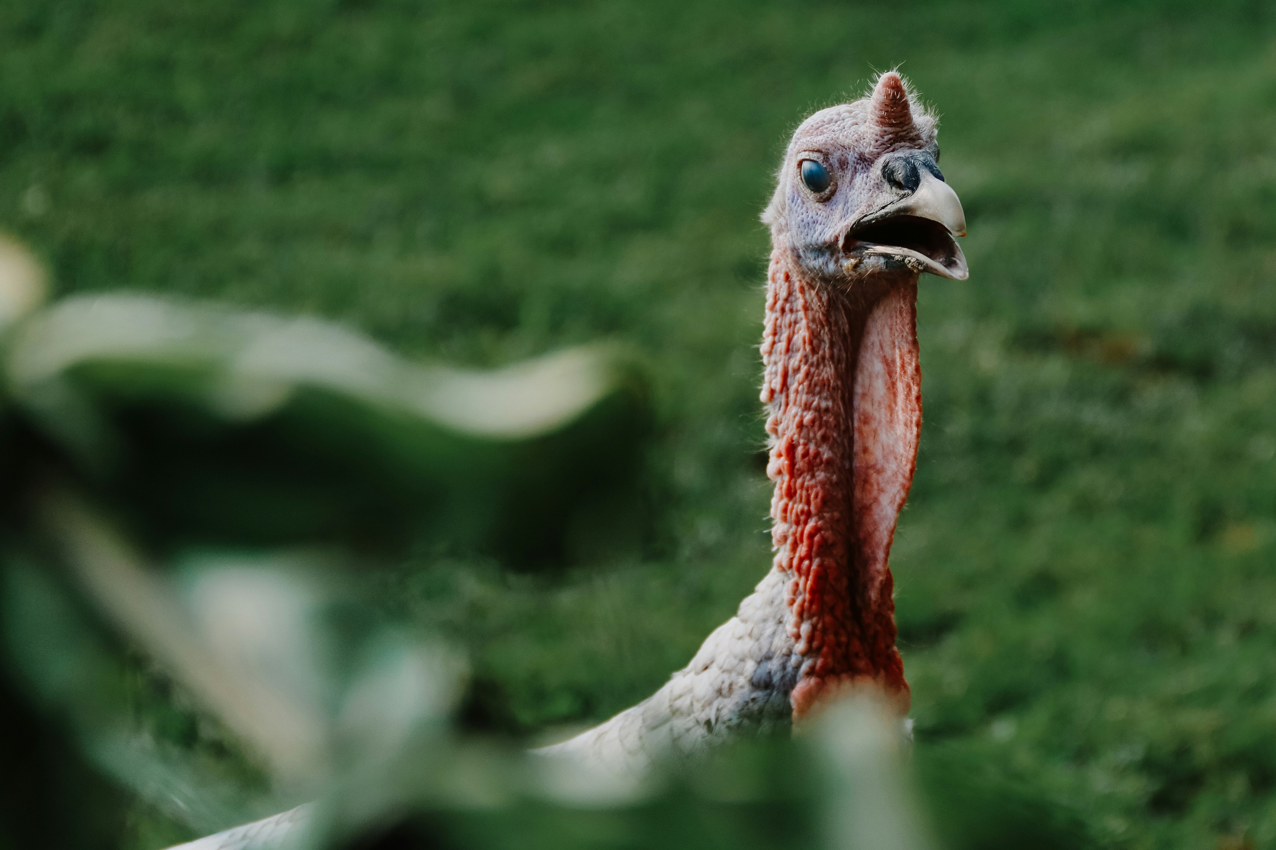 Horizon cutting-room links: Wednesday, 26 November 2025