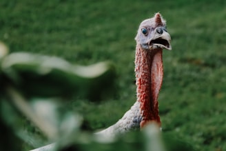 Best Realistic Appearance: Decoys with detailed paint jobs