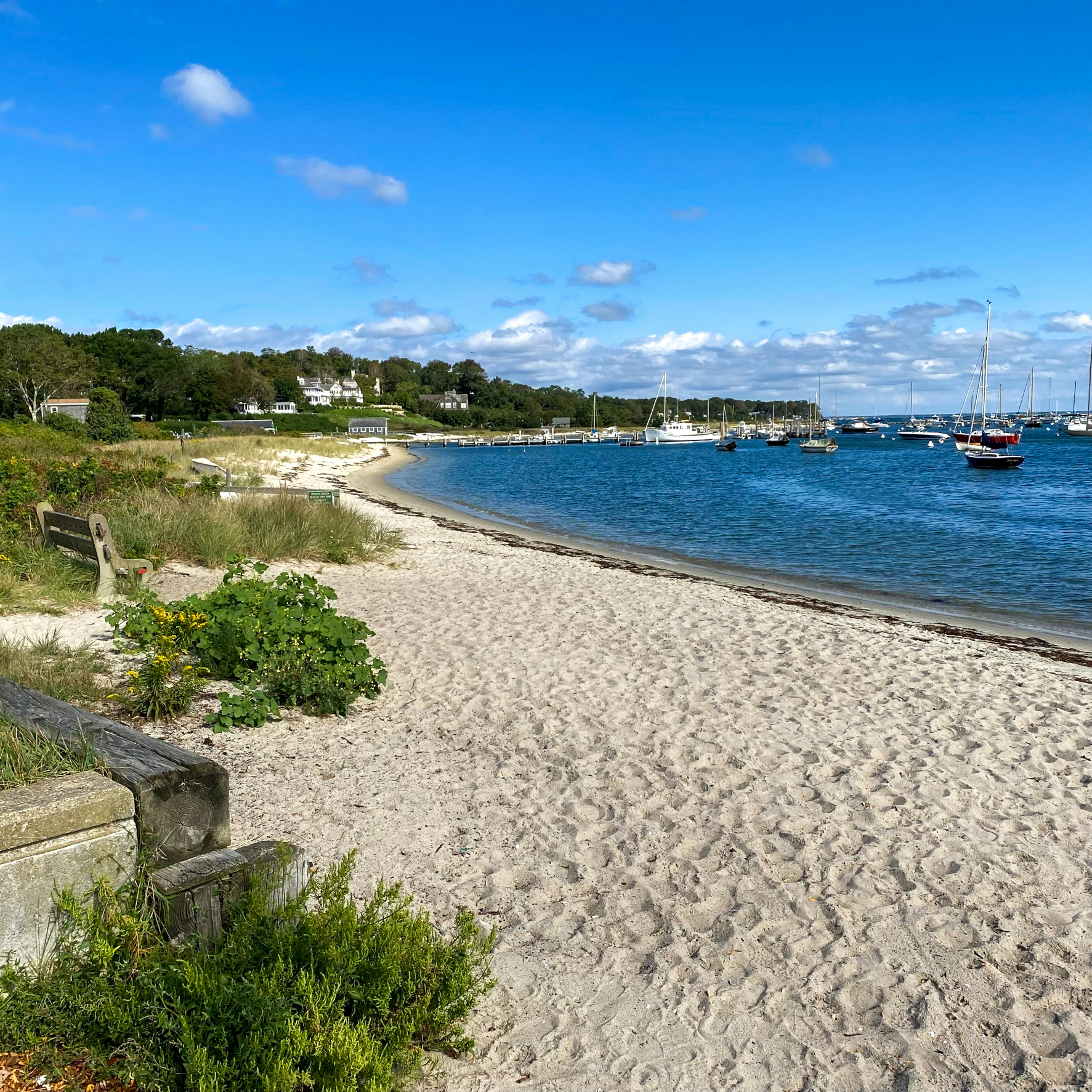 Owen Park Beach